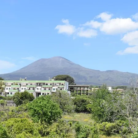 Palazzo D'amaro Historical