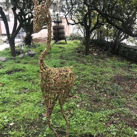 Palazzo D'amaro Historical Bed & Breakfast Boscotrecase