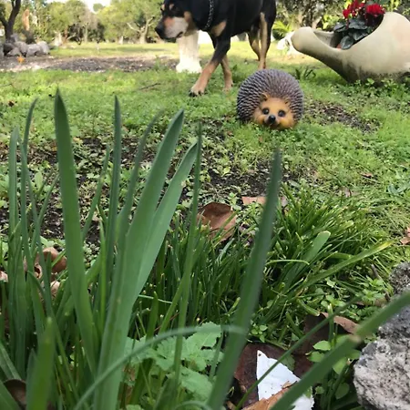 Palazzo D'amaro Historical 3* Boscotrecase