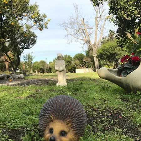 Palazzo D'amaro Historical Bed & Breakfast