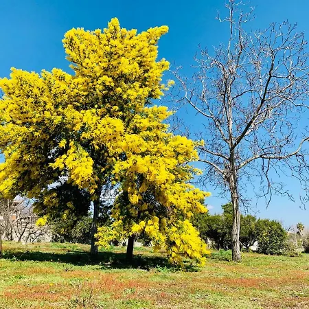 Palazzo D'amaro Historical Bed & Breakfast 3*