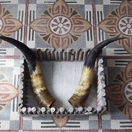 Palazzo D'amaro Historical