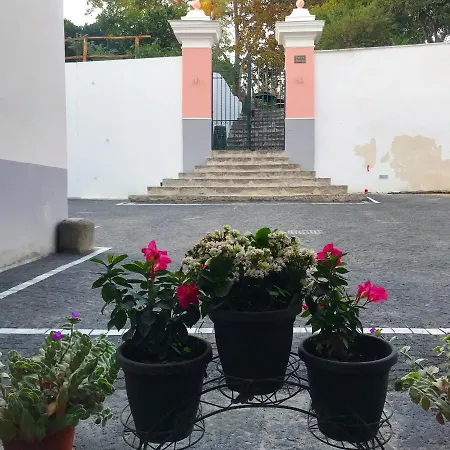 Palazzo D'amaro Historical Bed and Breakfast Boscotrecase